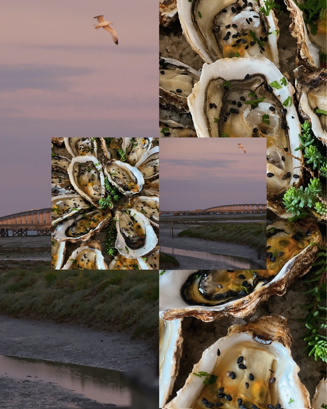 Photographie La Kbane Dégustation île d'Oléron – Jeanne Parisot